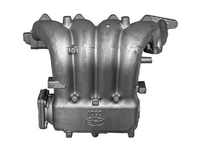 Intake Manifold QG005